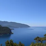 Kabak Avalon * Faralya