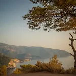 Domek letniskowy Kabak Avalon