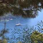 Kabak Avalon Domek letniskowy