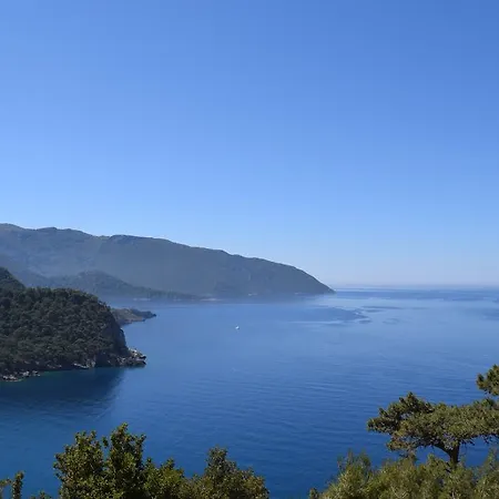 Kabak Avalon * Faralya