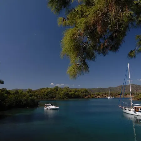 Jaktstuga Kabak Avalon