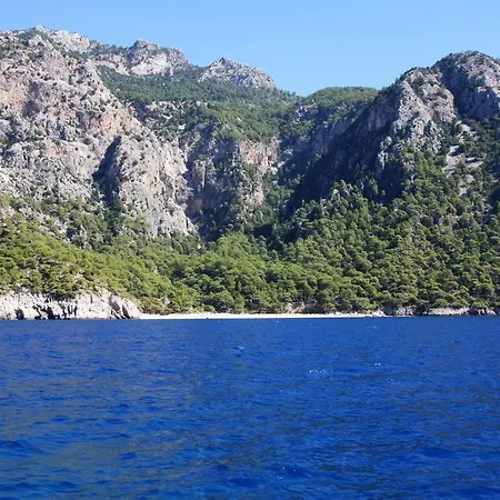 Kabak Avalon Деревянный коттедж