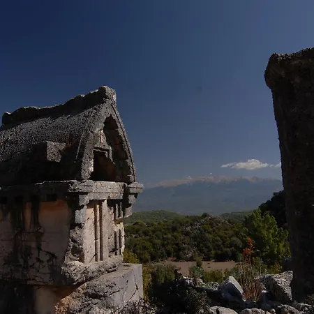 Kabak Avalon * Faralya