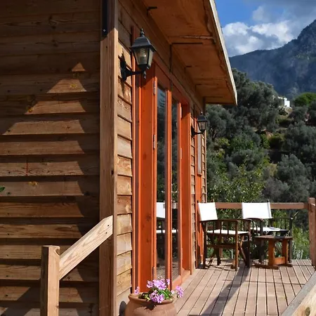 Jaktstuga Kabak Avalon *