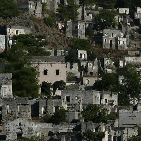 Jaktstuga Kabak Avalon *