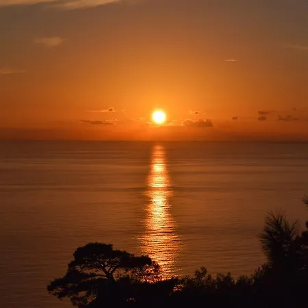 Kabak Avalon Jaktstuga *