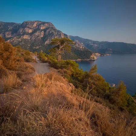 Jaktstuga Kabak Avalon *