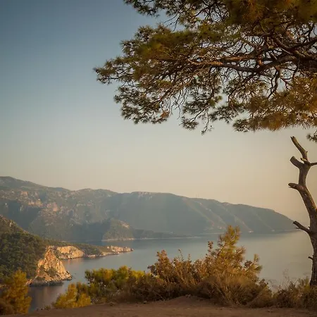 Jaktstuga Kabak Avalon