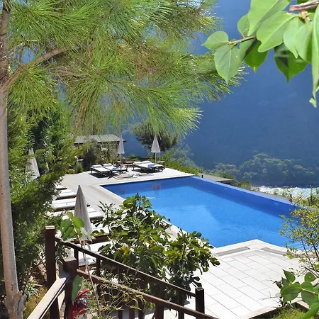 Kabak Avalon Faralya