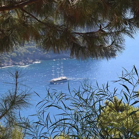 Kabak Avalon Jaktstuga