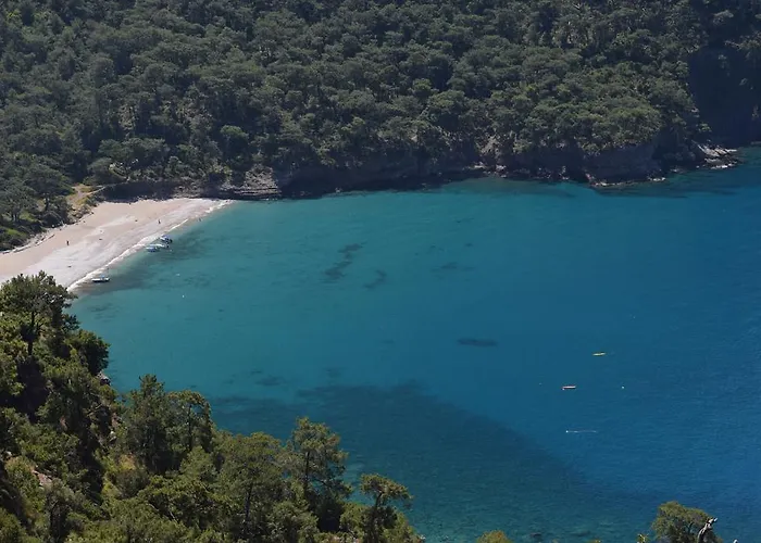 卡巴克阿瓦隆别墅 山林小屋 *