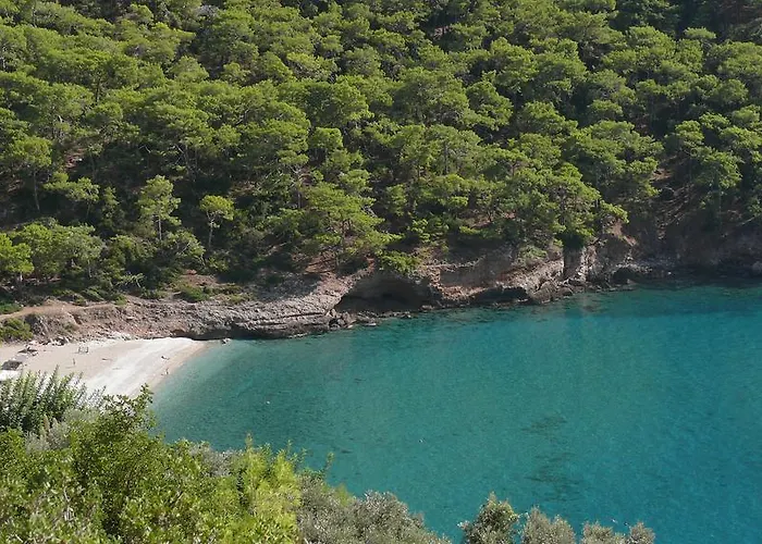 卡巴克阿瓦隆别墅 法拉尔雅