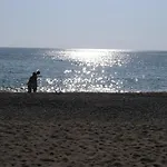 Kabak Avalon