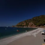 Kabak Avalon * 파랄리아
