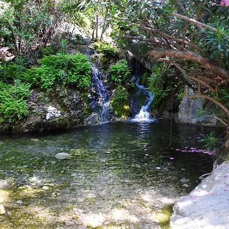 Kabak Avalon Hytte *