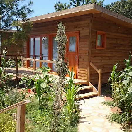 Kabak Avalon Hytte