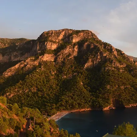 Kabak Avalon Chata *