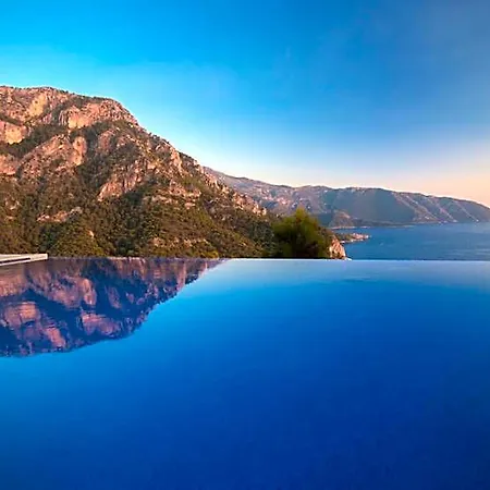 Kabak Avalon *