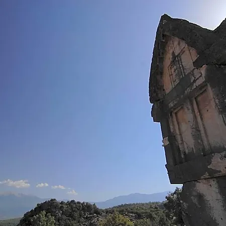 Kabak Avalon Faralya