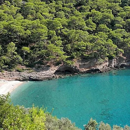 Kabak Avalon *