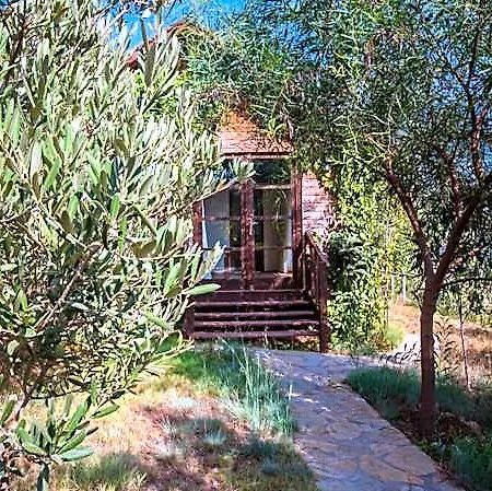 Kabak Avalon Faralya