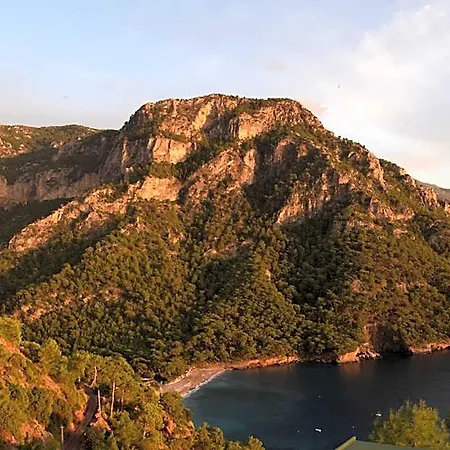 Kabak Avalon Faralya