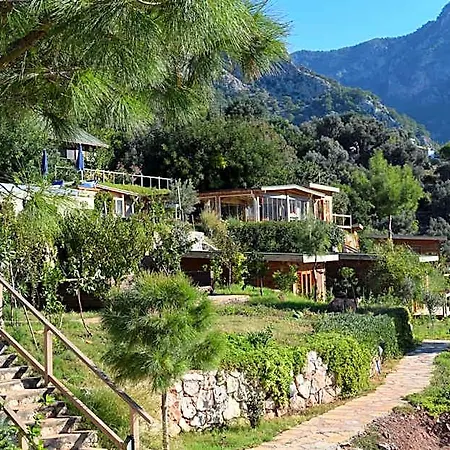 Hytte Kabak Avalon