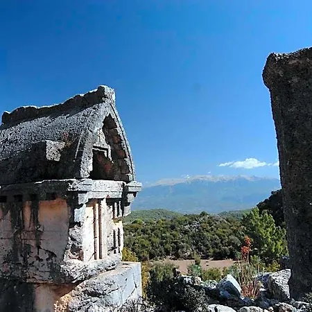 Kabak Avalon Faralya