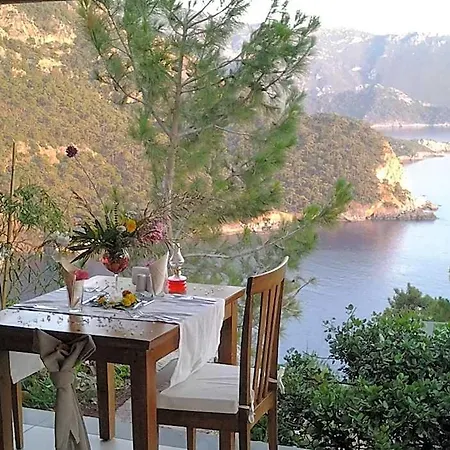 Kabak Avalon * Faralya