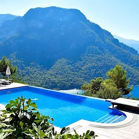 Kabak Avalon Faralya