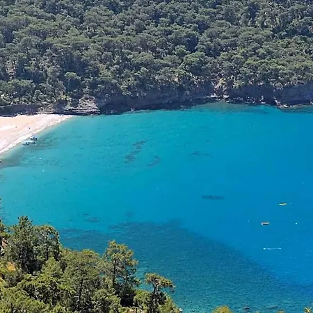 Kabak Avalon Faralya