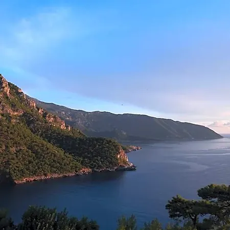 Kabak Avalon * Faralya